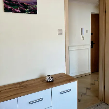 Basniowy 公寓 卢布林